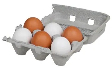 Eggs in a cardboard carton